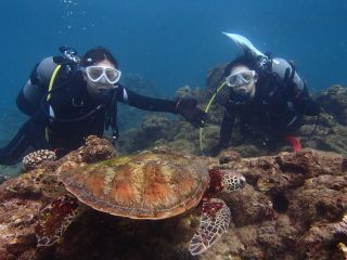 ウミガメと記念写真チャンスあります♪