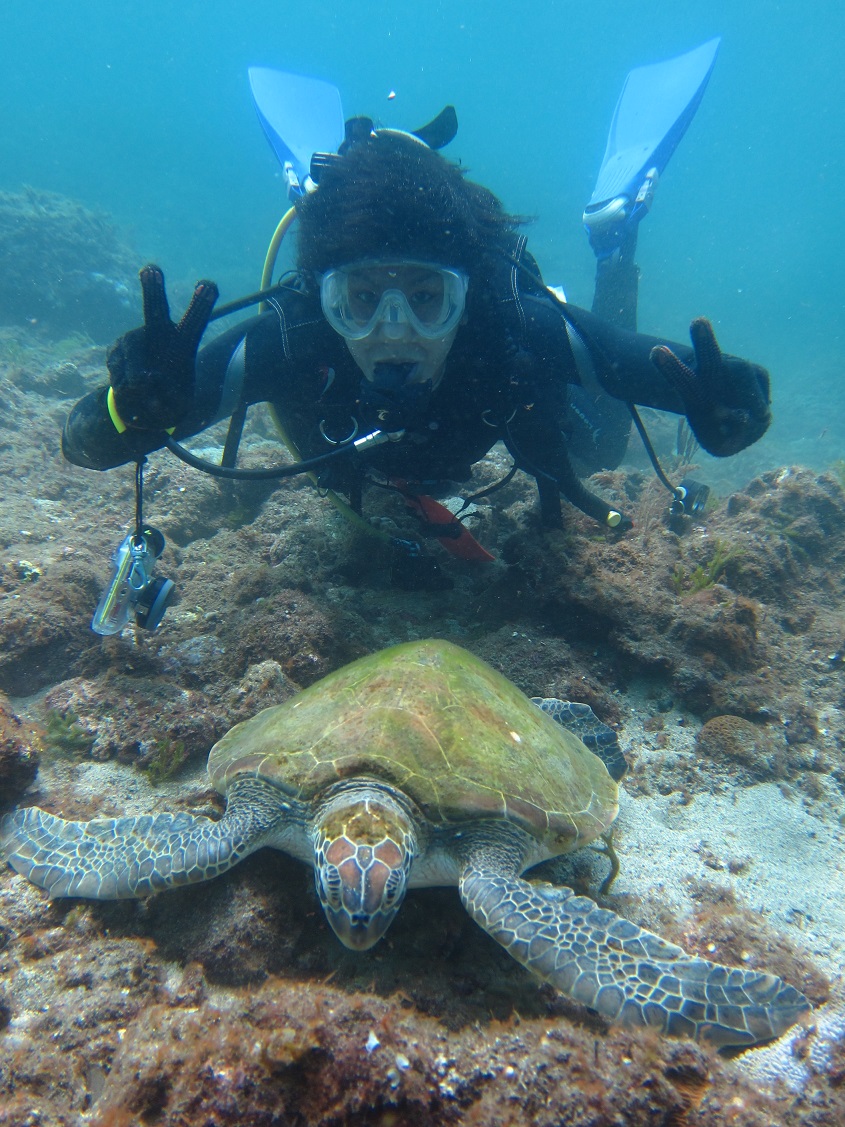 さらに運がよければウミガメと記念写真を撮れるかも♪