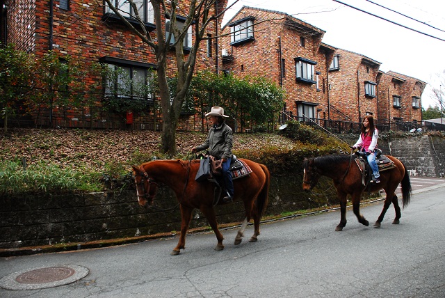 大人しい馬たちなので初めての方でも安心してお乗りいただけます。