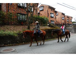 大人しい馬たちなので初めての方でも安心してお乗りいただけます。