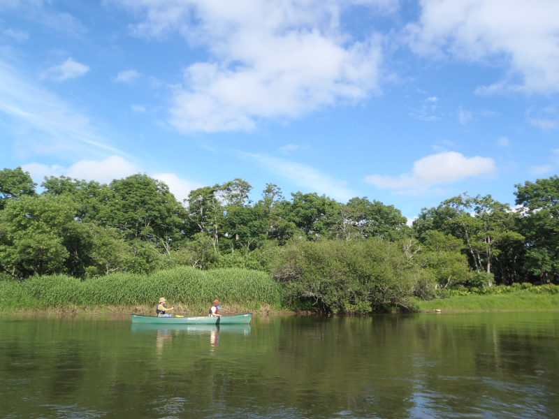 ̃J[u̐͂ǂȕi҂Ă邾낤H