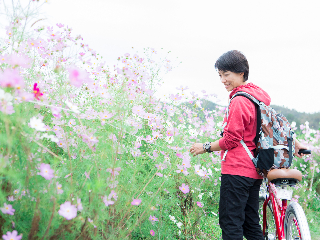 s̕AX̐FB]ԂŊ鋞sɂ́A R̖킢ӂĂ܂B