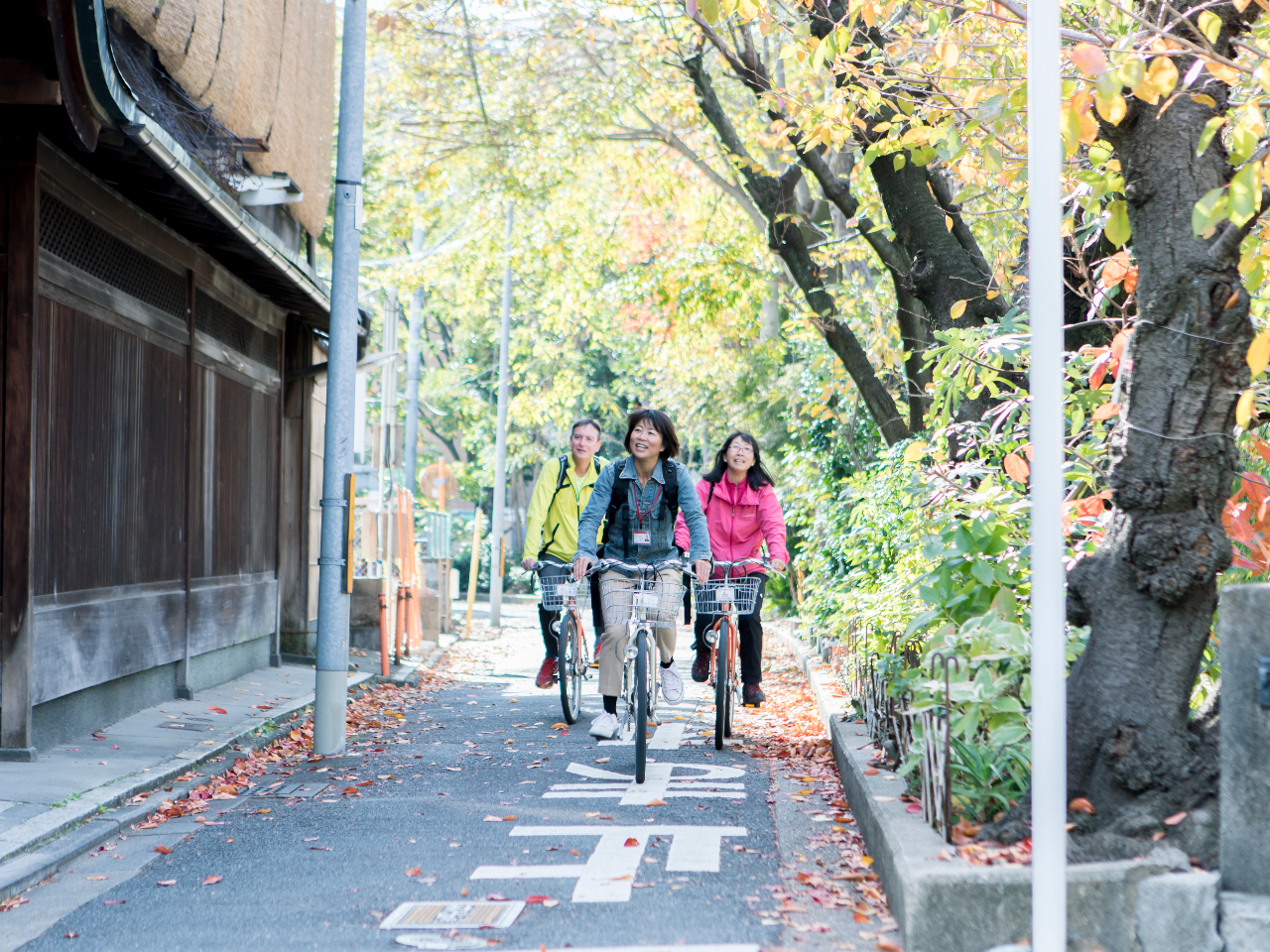 ĘHnɖł݂܂񂩁HVs݂邩B