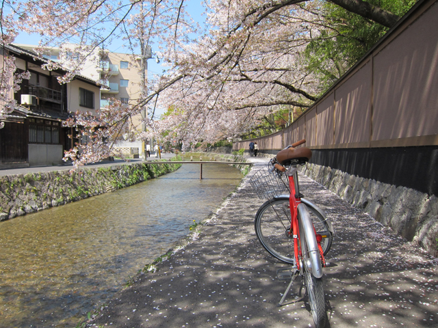 CXg[g炻ĐÂȏHցBi̋sm闷B