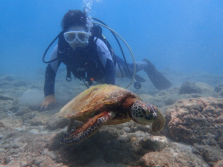 ṽE~K͂܂蓦Ȃăth[I