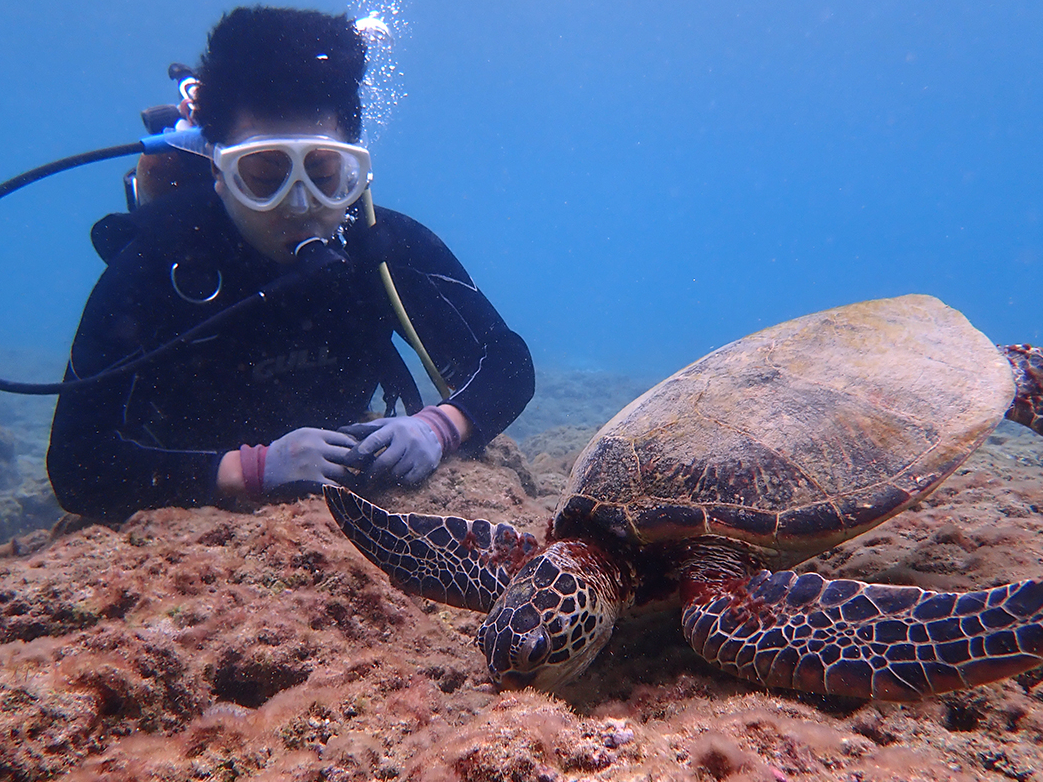 ڂ̑OŐHĂE~Kώ@Ă݂悤I