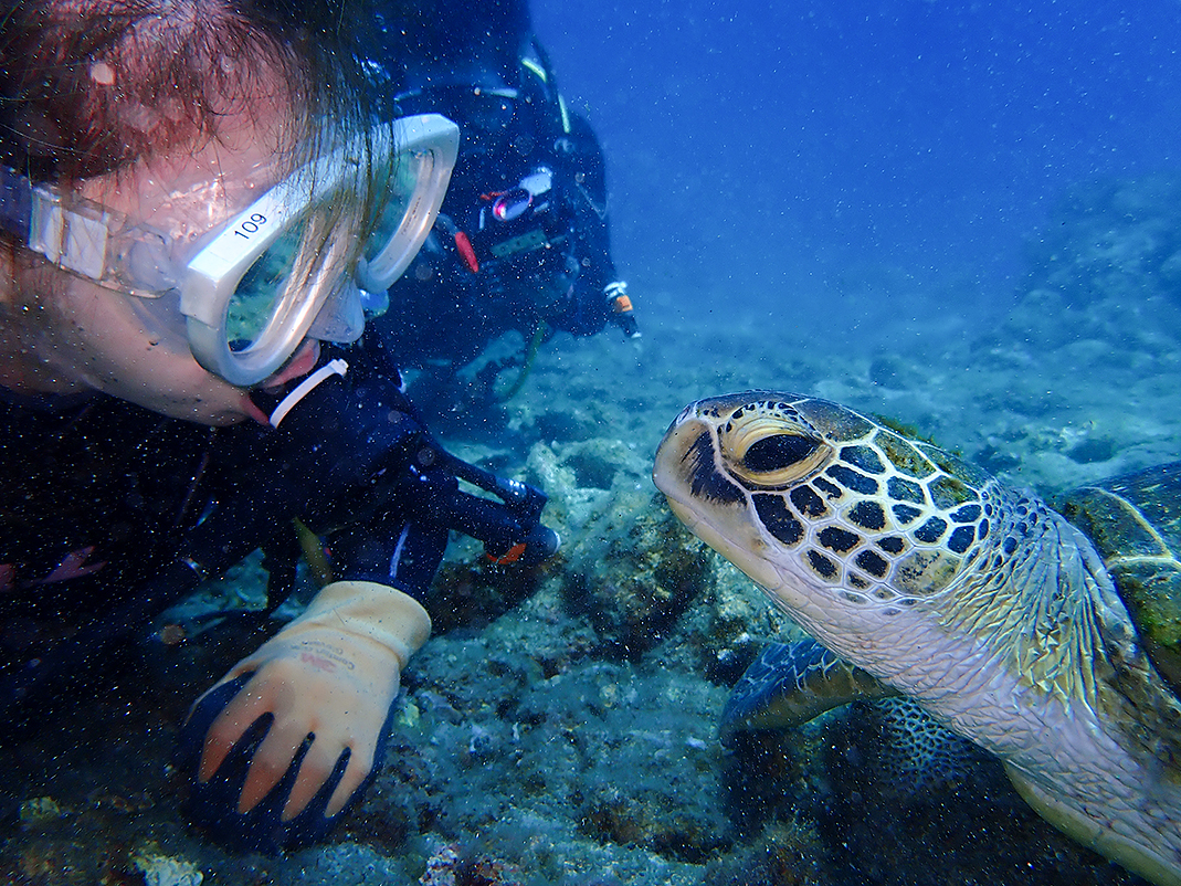 E~KƋ}ڋ߁IIIȂɋ߂ÂĂ܂Ȃ̂ṽE~KȂ̂łB