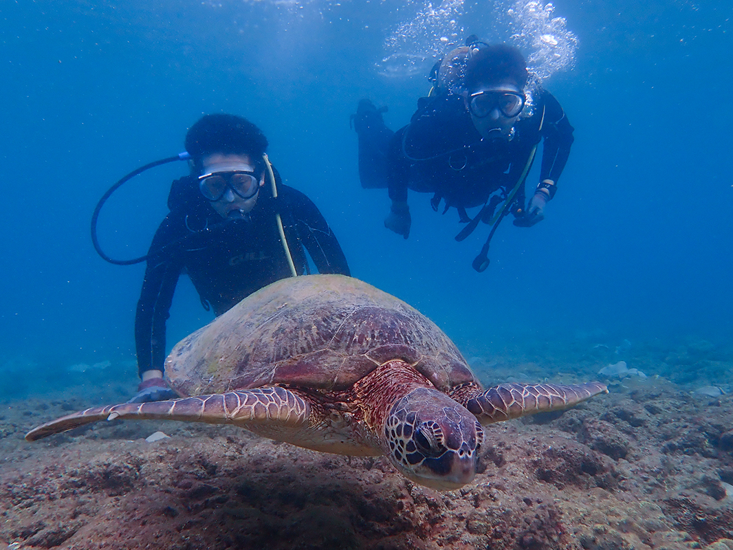 E~KɓĉjBBBE~KƂ̎Ԃ͂Ɖ߂ĂBBB