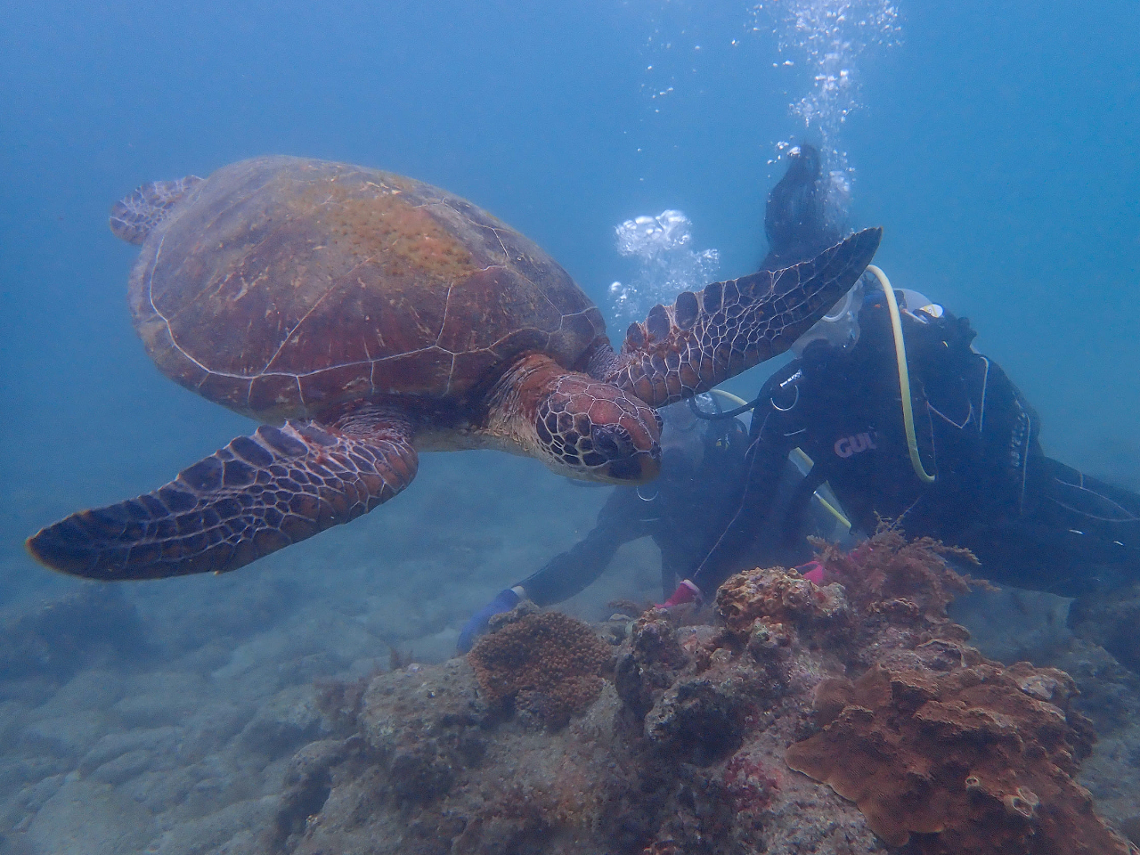 Ȃ̍mŃE~KɏoCłI