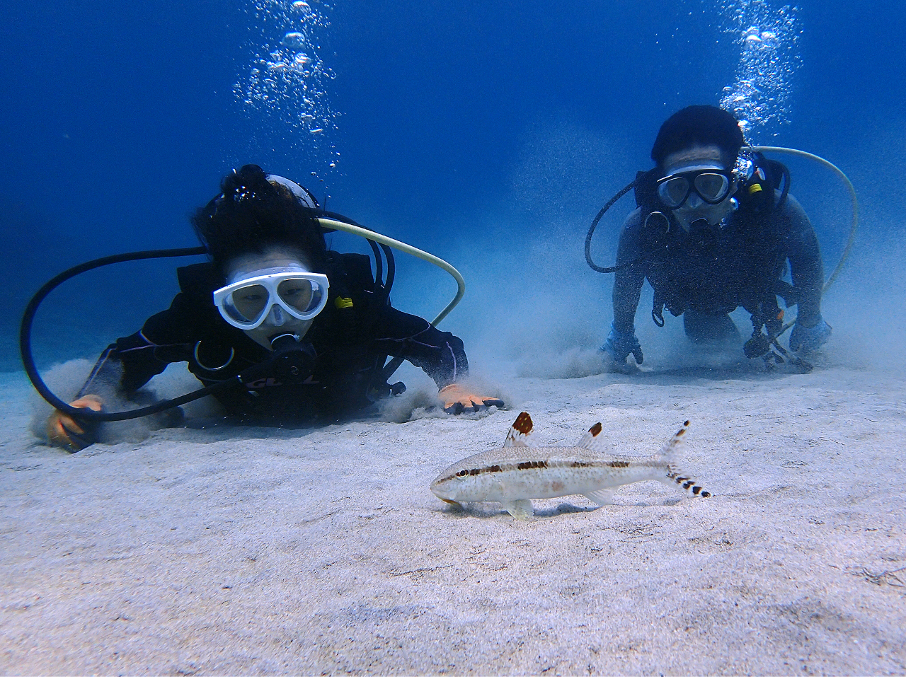 なぜか屋久島の魚たちは逃げないのです。。。^^;