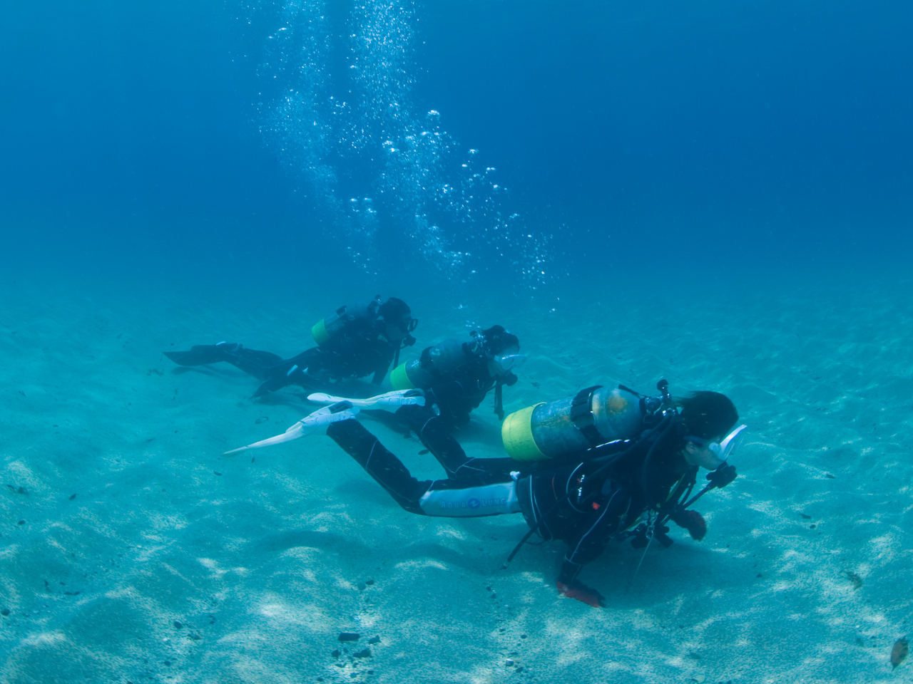 ȊŉjȂlłQł̂̌_CrOłI