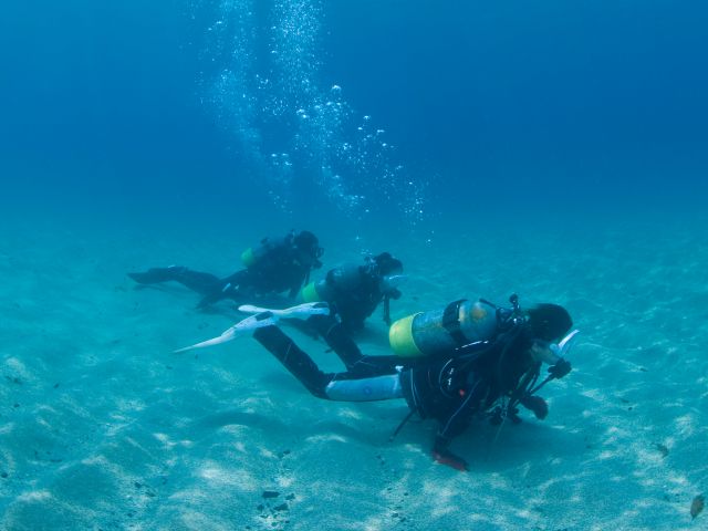 こんな感じで泳げない人でも参加できるのが体験ダイビングです!