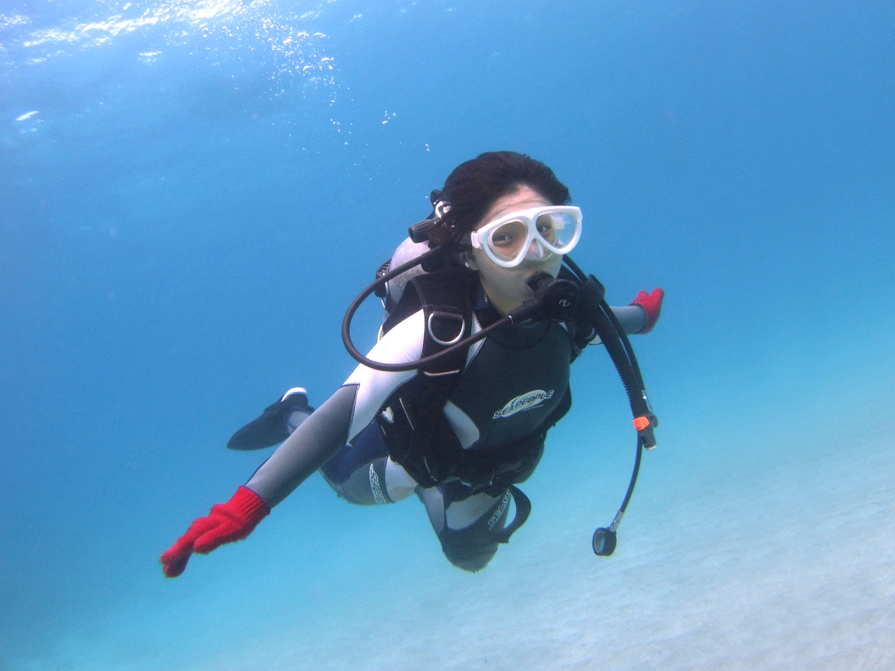 Ă畂Vyނ̂_CrȎ햡I