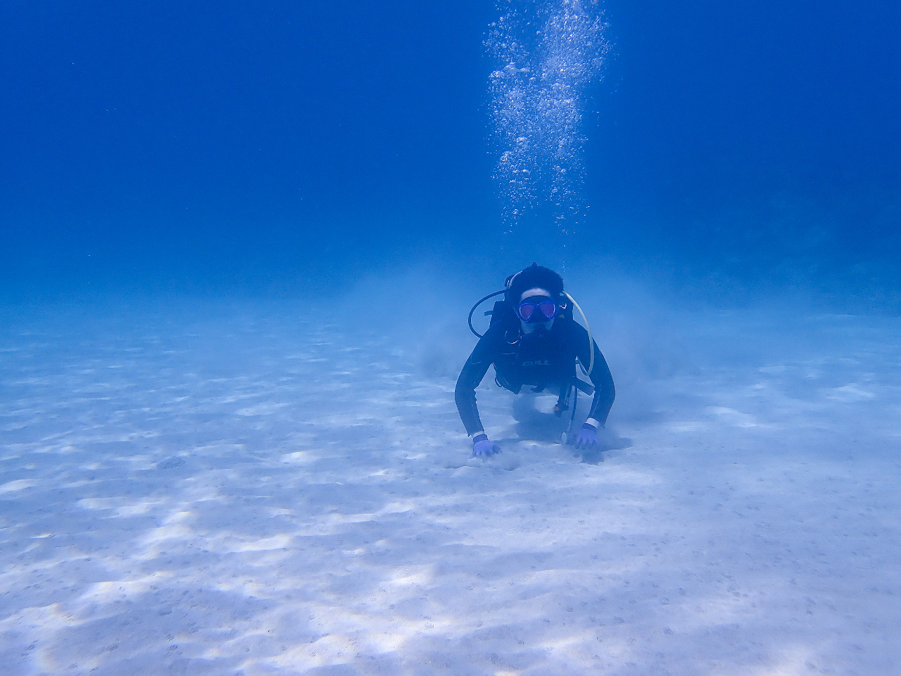 z݃LLC͂ƂĂzIȂ̂łBBB(^^)