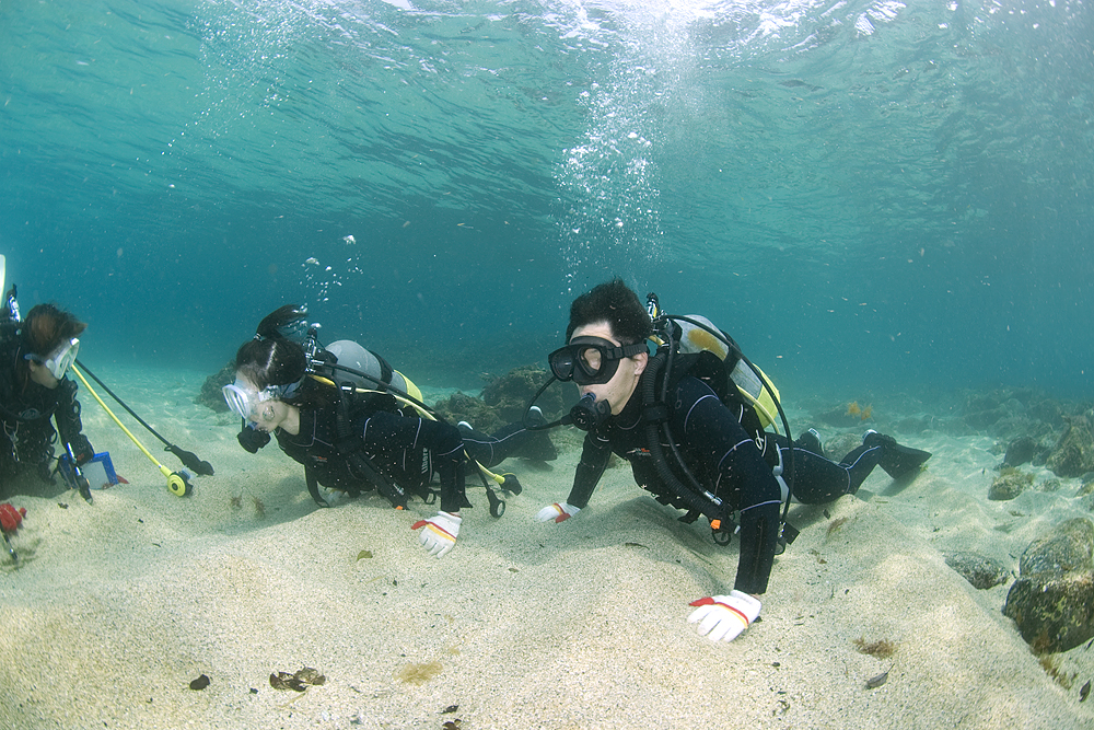 1ڂ̃_CrOłK2ڂ͂Ȃ]T܂܂B