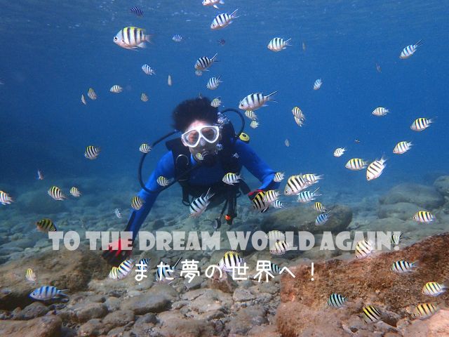 もともと屋久島は魚の多い海!緊張から魚を見る余裕がなかった1本目とは違い、2本目はじっくりフィッシュウォッチングが楽しめるかと思います!