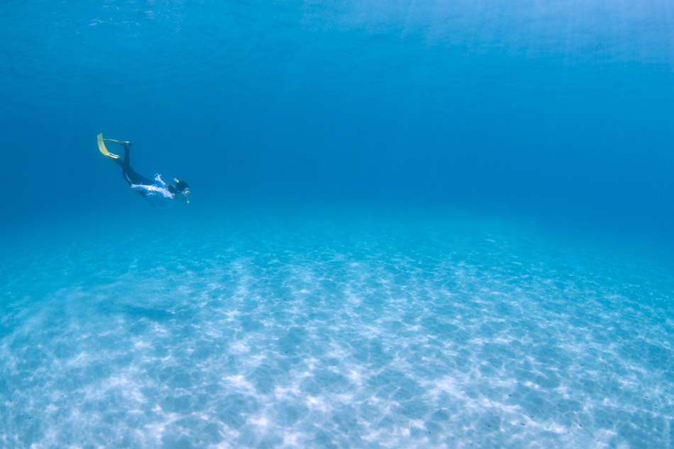 ɎM̂̓LLPɌĐĂ݂܂傤B