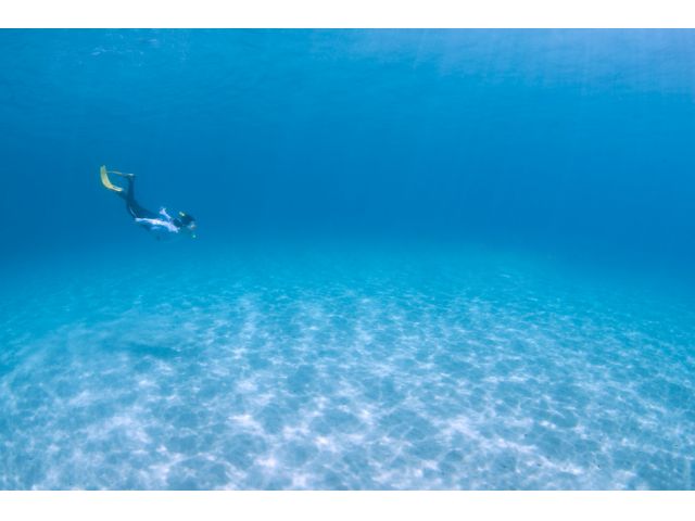 潜りに自信のある方はキラキラ輝く白い水底に向かって潜ってみましょう。