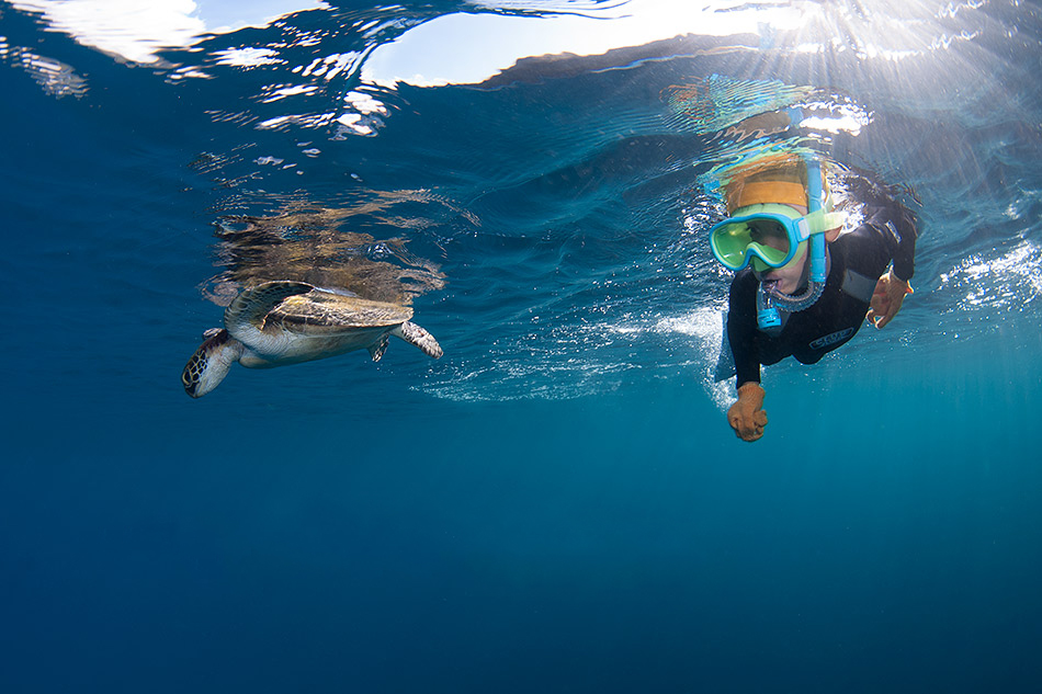 ȂłʂɑpɏオĂE~KƋ}ڋ߁I