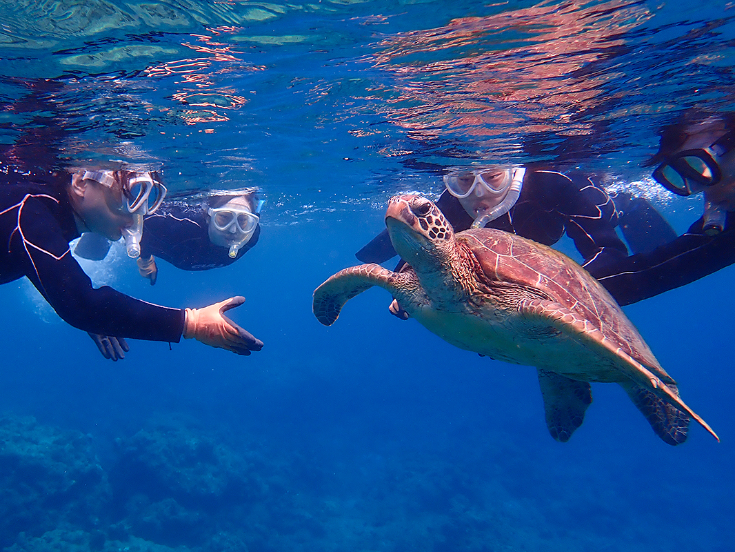 E~K͒IɑpɏオĂ܂BBB