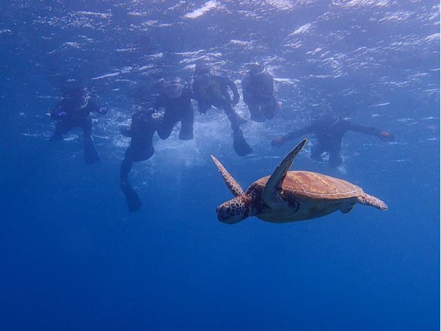 みんな大興奮!!!