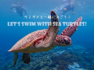 子供から大人まで屋久島のきれいな海を気軽に楽しめる!