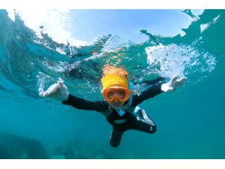 子供から大人まで屋久島のきれいな海を気軽に楽しめる!