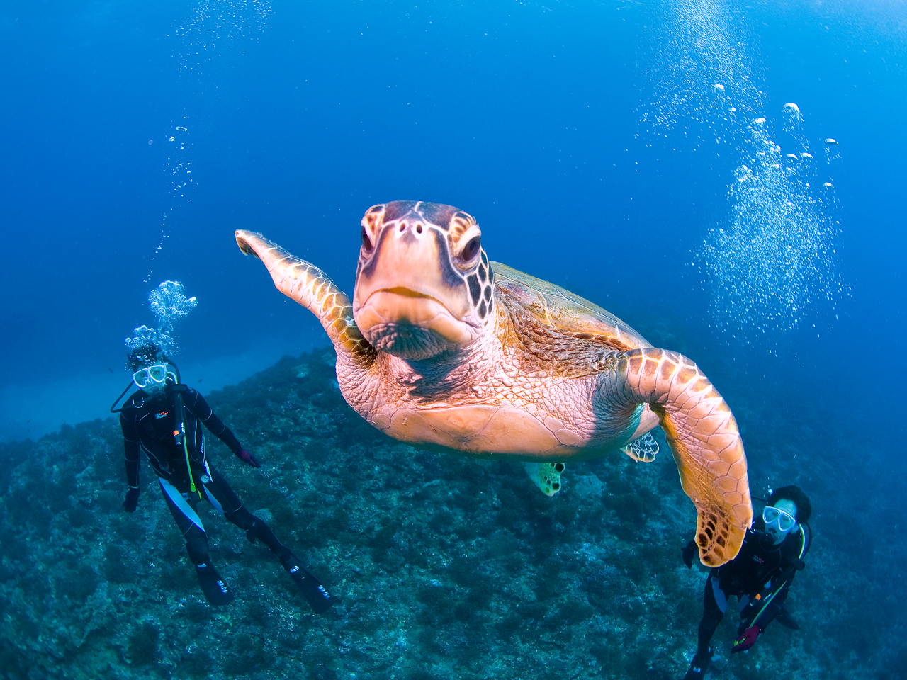 v́uE~K̓vĨE~Kɏo邱Ƃł傤BBB