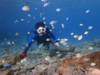 もともと屋久島は魚の多い海!緊張から魚を見る余裕がなかった1本目とは違い、2本目はじっくりフィッシュウォッチングが楽しめるかと思います!