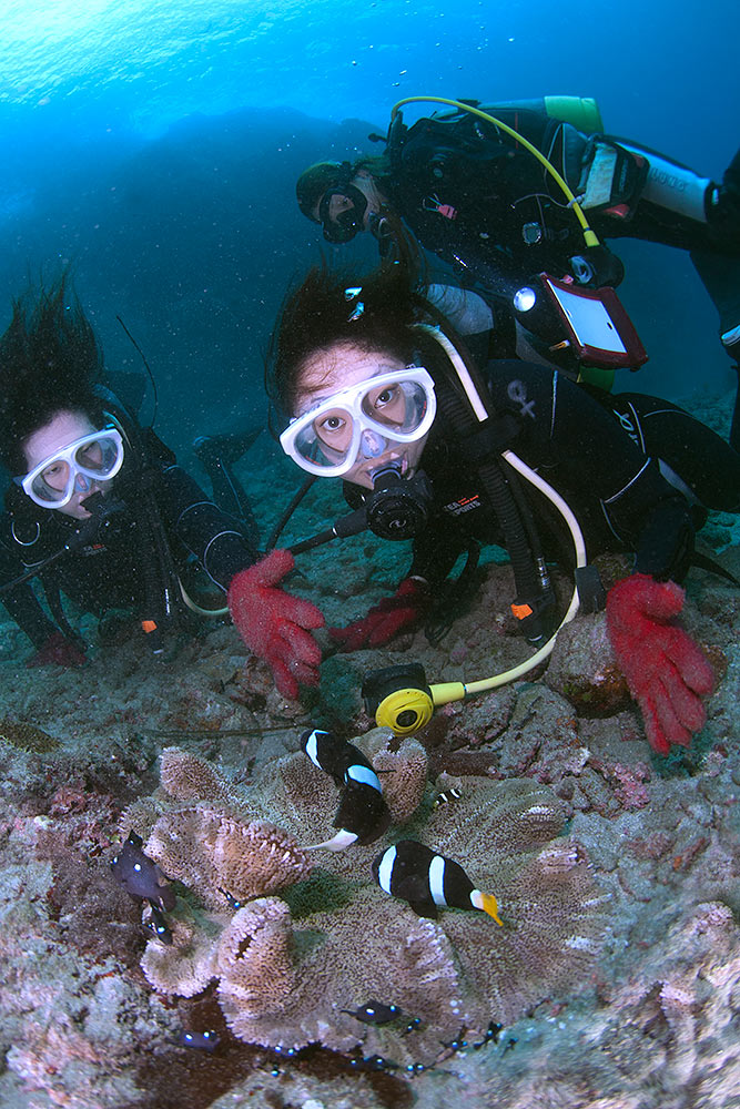 _CrOł͋Ɗԋ߂ɐڂ邱Ƃł