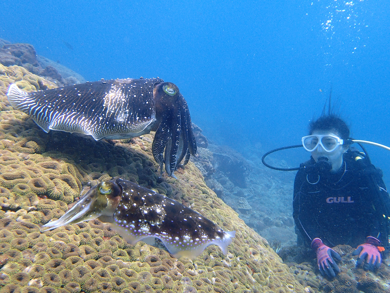 RuVƂCJ̒Ԃ̎Y邱ƂI