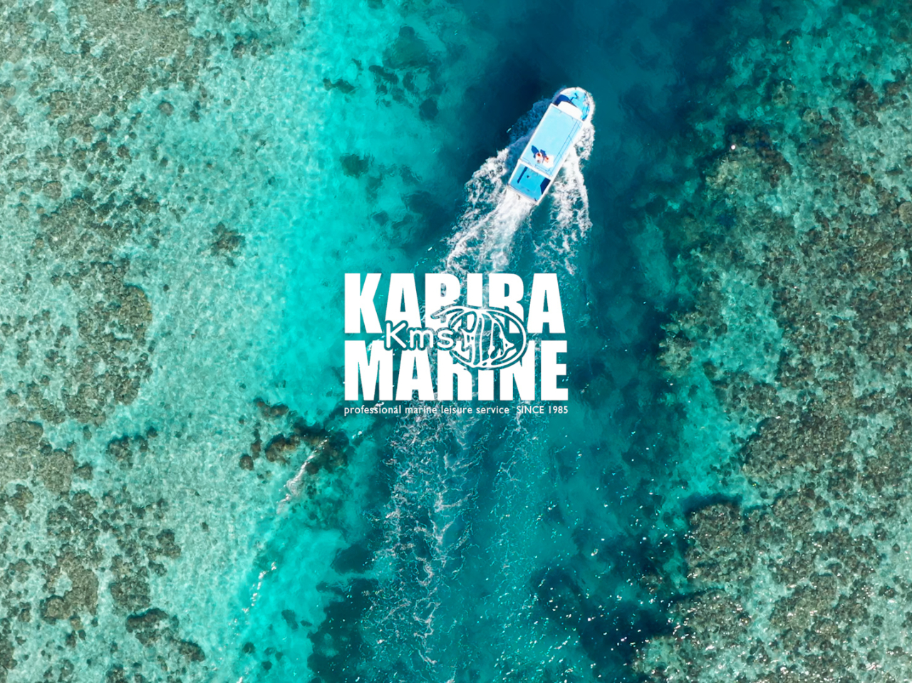 ウミガメに出会えるかも!