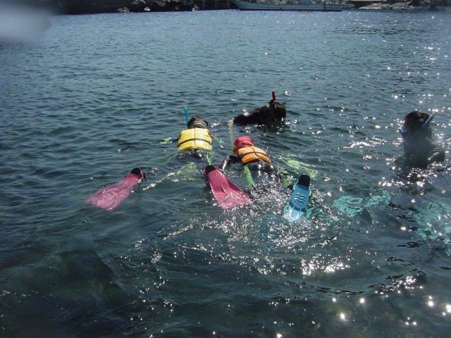 最初は足の着く浅い場所で練習します。