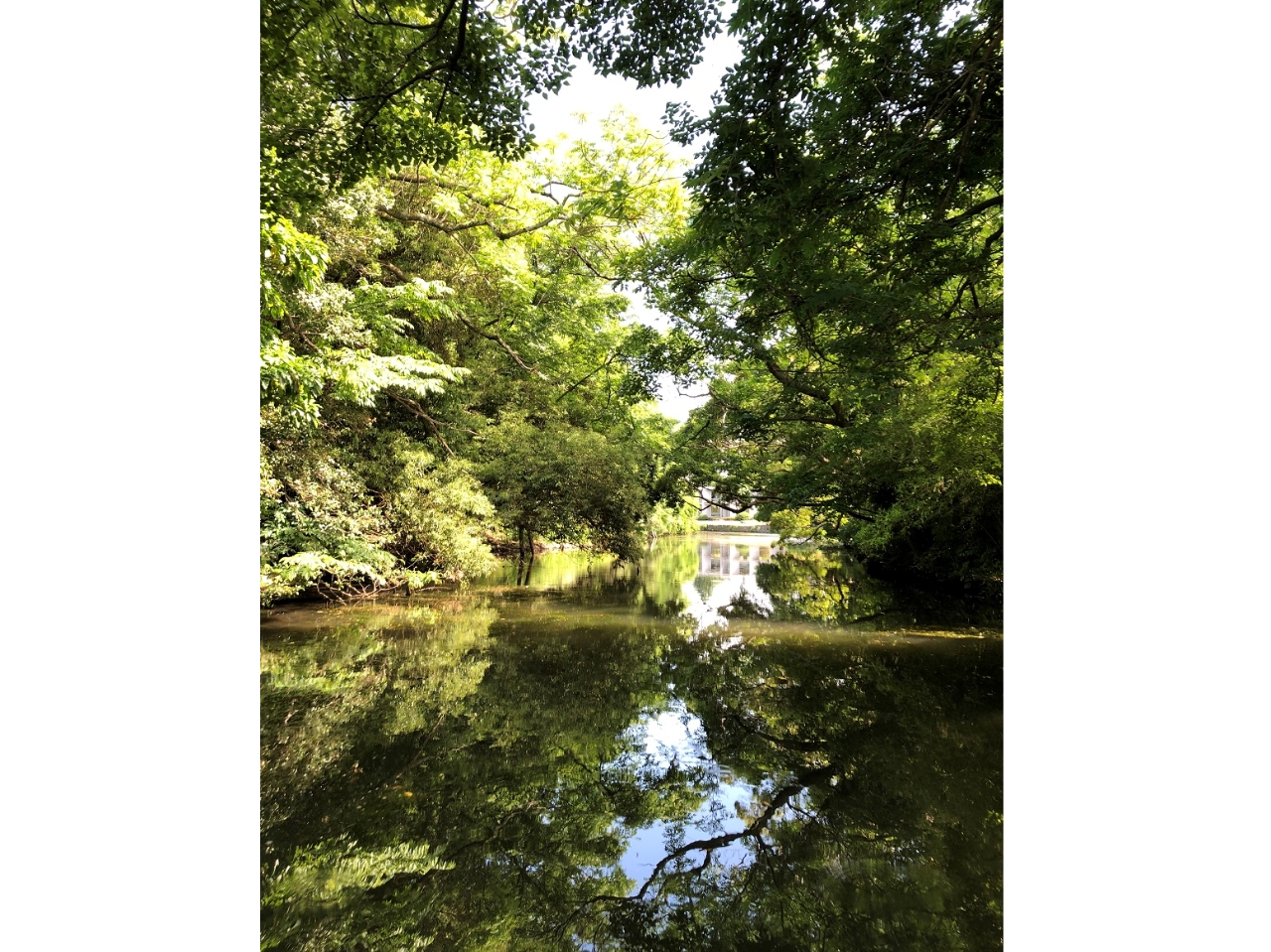 こんな場面で・・・を