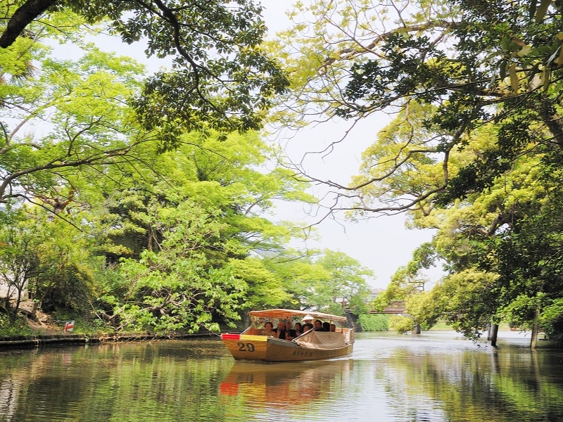 木のトンネル。木漏れ日がキラキラ