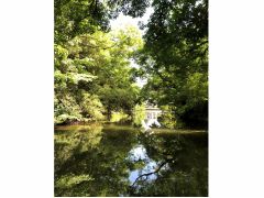 こんな場面で・・・を