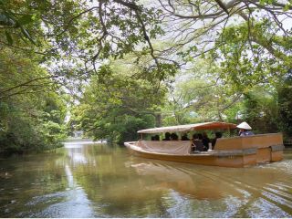 緑のトンネル通過中~