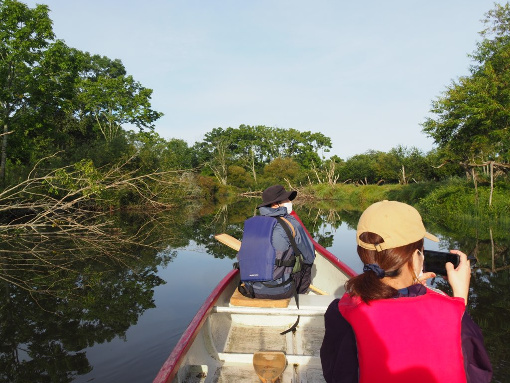 H΂oA앝̋xiALiCjoRH{ցI