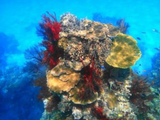 最高ぉ〜のポイントですっ!