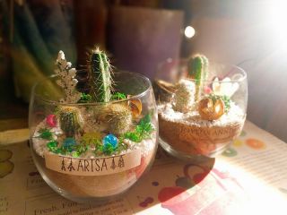 オリジナルのサボテンの寄せ植えを作ろう!
