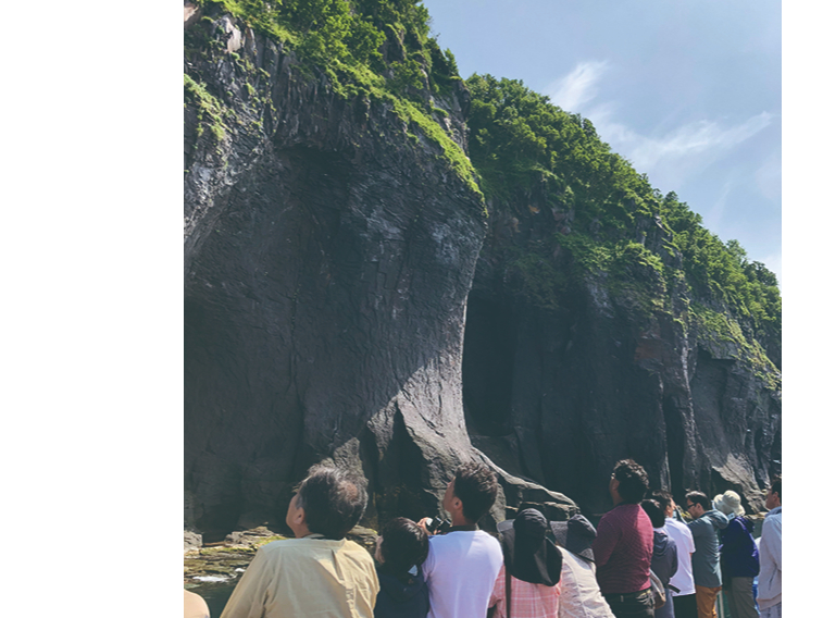 ��^�D�Ȃ̂ŁA�h������Ȃ����S�E���S�I���▼���A�쐶�̒��⓮���B���̃V���b�^�[�`�����X�𓦂��Ȃ����ǂ��X�s�[�h�ł��ē���