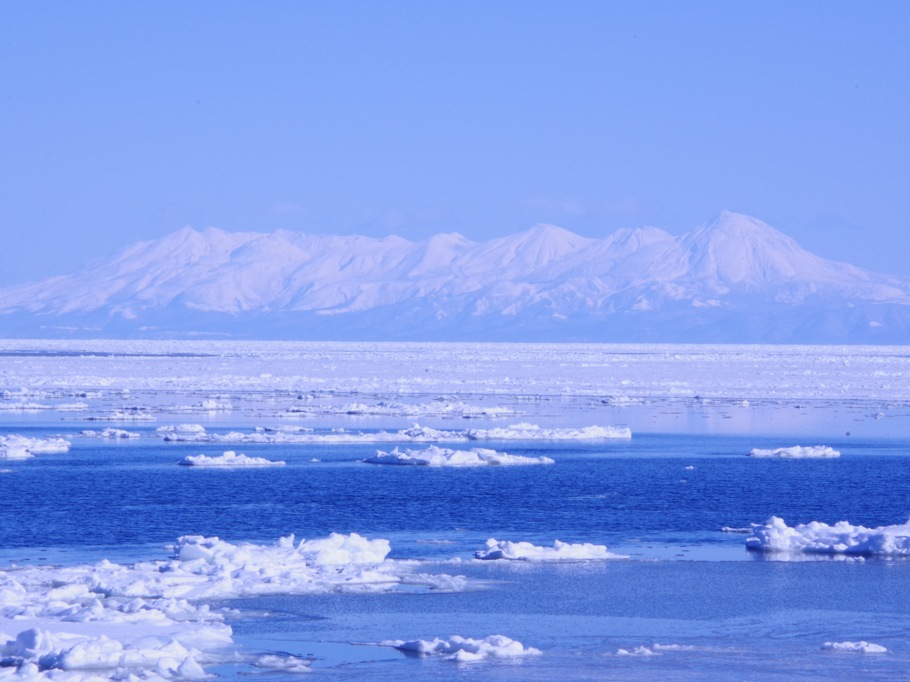 �V�C�Ɍb�܂��ƒm���A�R���L���C�ɕ����яオ���Č����邱�Ƃ���