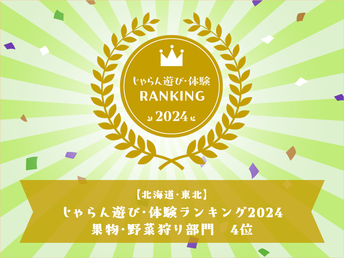 【じゃらん限定|ベーシックプラン】【さくらんぼ60分食べ放題】大人(中学生以上)...