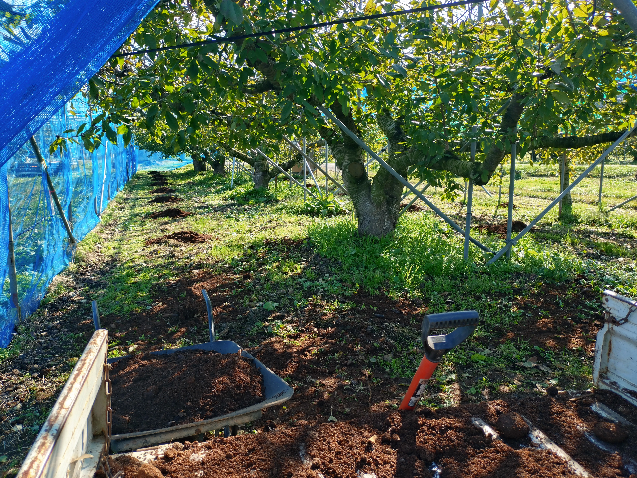 ��{�͓y���B����Ƃ��Ė��N�H�Ɏ{�삵�Ă��܂��B