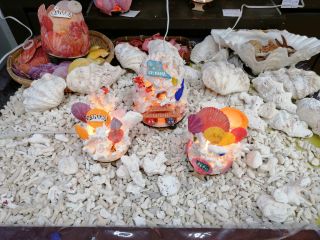 地域共通クーポン対象 癒しのサンゴランプ作り 那覇でここだけ 自分へのお土産に人気no1 工房 ちゅらうみ家 本店 じゃらん遊び体験 地域共通クーポン対象 癒しのサンゴランプ作り 那覇でここだけ 自分へのお土産に人気no1 工房 ちゅらうみ家 本店 じゃらん遊び体験