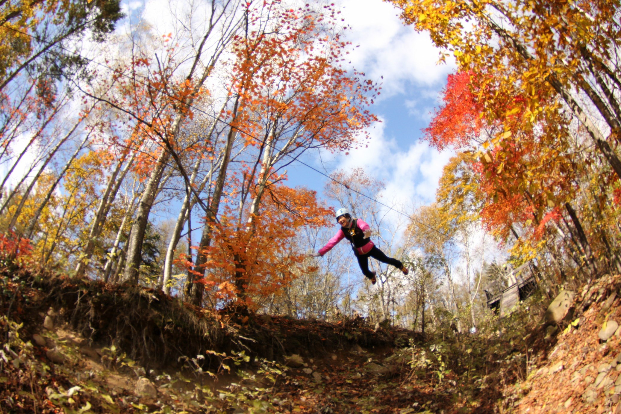 Ăɂ͗΂̃gl̒AHɂYɐFÂgt̒Bł킦ȂułB