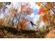 夏には緑のトンネルの中を、秋には綺麗に色づいた紅葉の中を。ここでしか味わえない爽快感です。