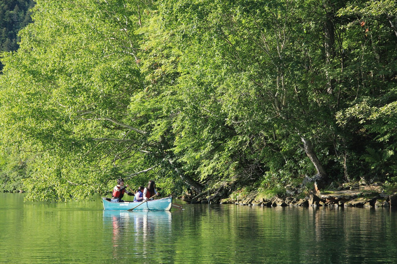 VŘ΂Ȃł͂́AΊ݂肬܂Ő΂AɂڂĂ݂܂傤B܂ɓɏoƂ܂