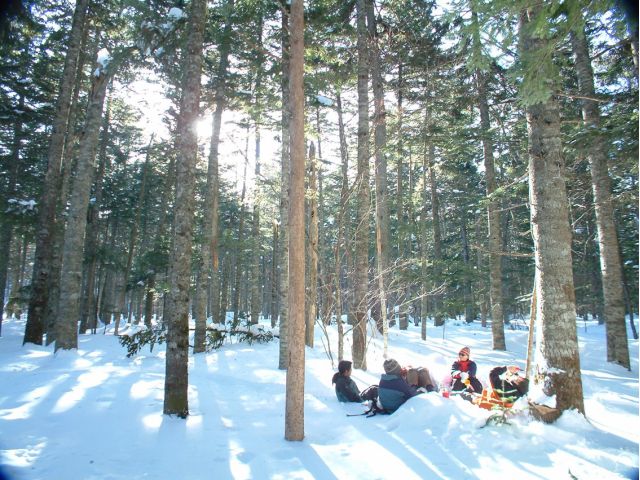 自然ガイドと冬の森を楽しみましょう。