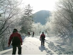 寒ければ寒いほど綺麗な景色が広がります。